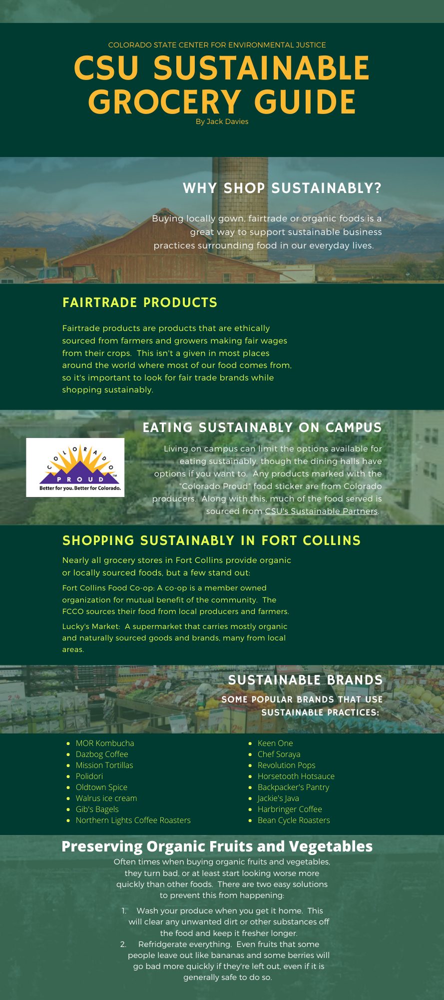 Infographic about sustainable grocery shopping.