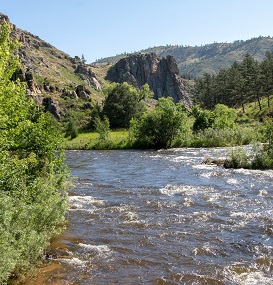 Photo of the Poudre River flowing through the canyon. Green leaves blanket the banks of the river.